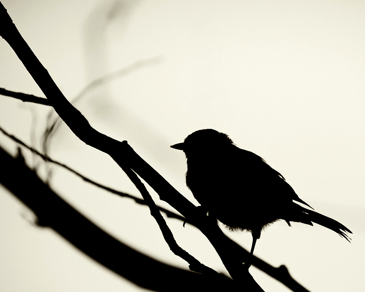http://4.bp.blogspot.com/-s4I6UWzSjv0/UGlveKUTnFI/AAAAAAAABrU/LzmDBSxdumY/s1600/wallpaper-2841.jpg