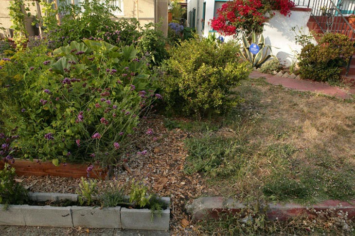 A look at the neighbor’s lawn does not make a winning case in grass’ favor. - He Started With Some Boxes, 60 Days Later, The Neighbors Could Not Believe What He Built A look at the neighbor’s lawn does not make a winning case in grass’ favor. - He Started With Some Boxes, 60 Days Later, The Neighbors Could Not Believe What He Built