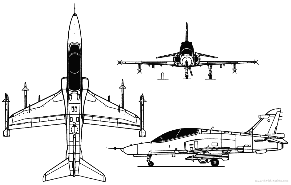 Hawk 100