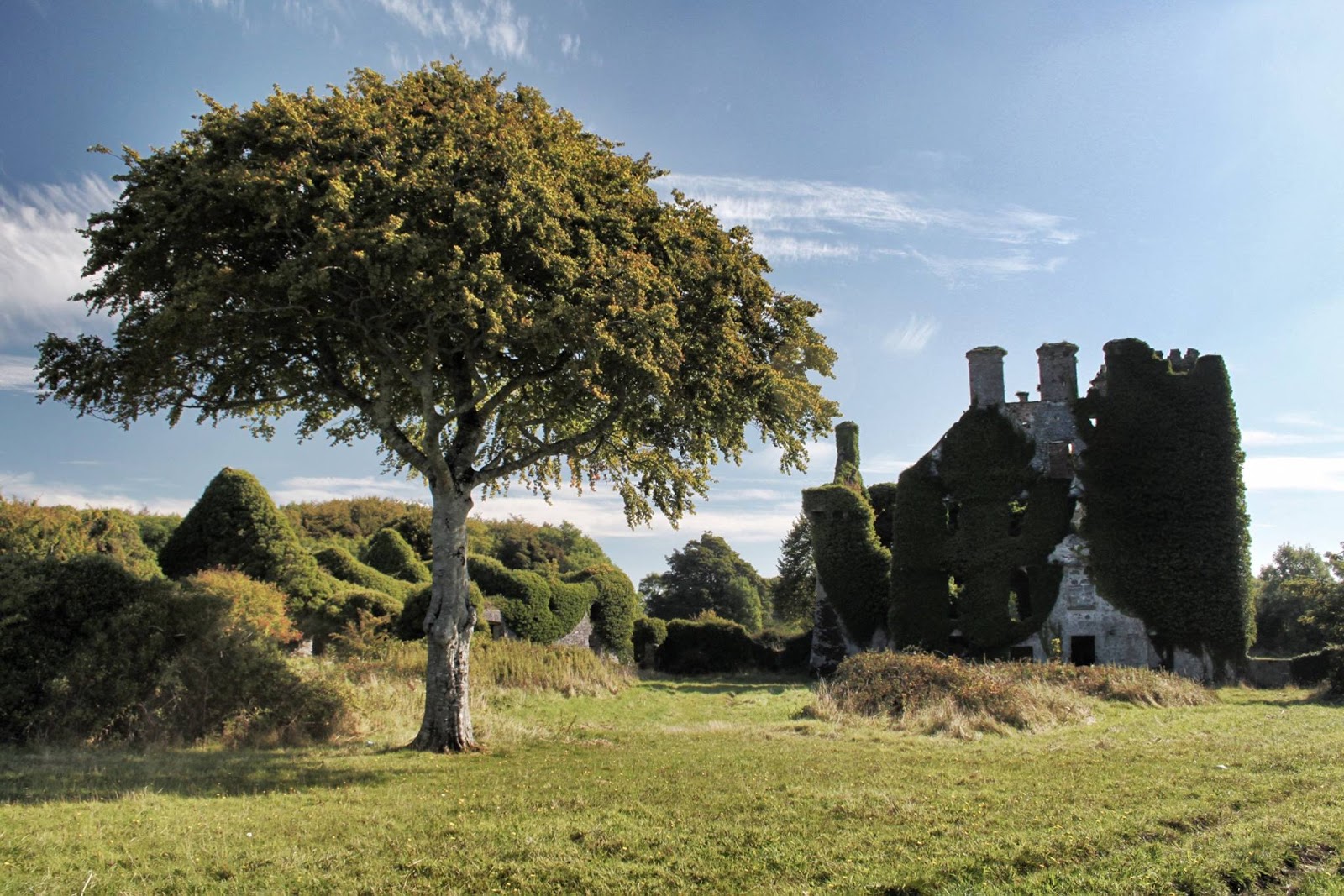 Historic Sites of Ireland Menlo Castle