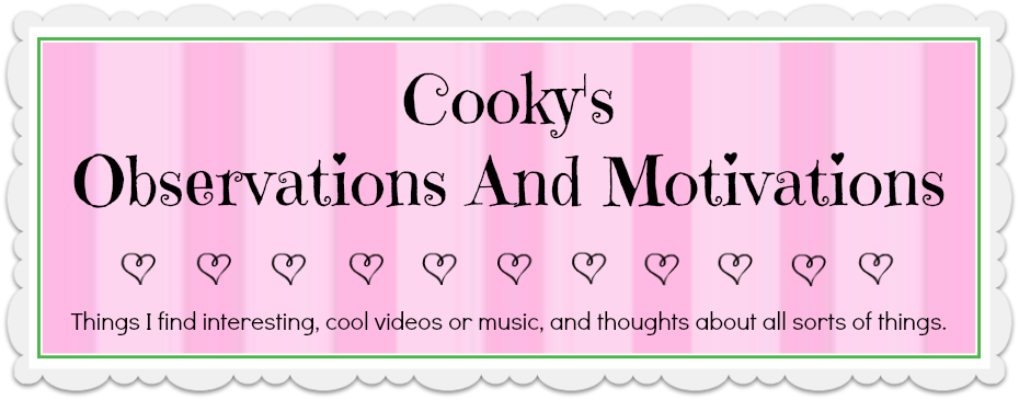 Cooky's Observations and Motivations