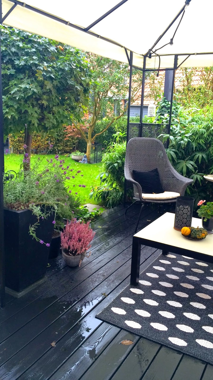 Cattis och eiras trädgårdsdesign