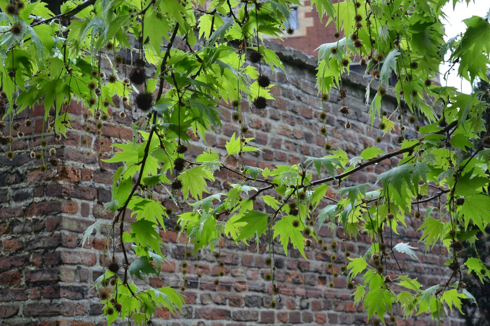 Cambridge, England