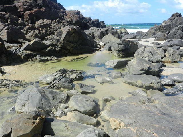 a rock pool at low tide a rock pool at low tide