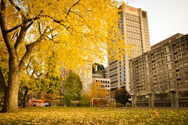 [Image: montreal-mua-thu-7.jpg]