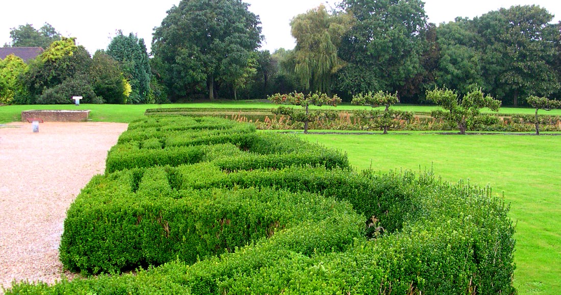 Plant Preview How to Use Broadleaf Evergreens in Garden Design