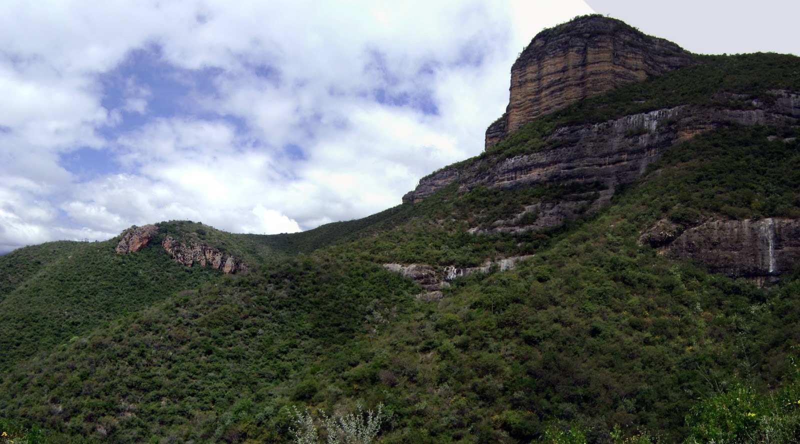 EXCURSIONES DIVERSAS EL REVERDECIDO CERRO COLORADO