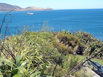 Looking south, over the entrance to Wellington Harbour