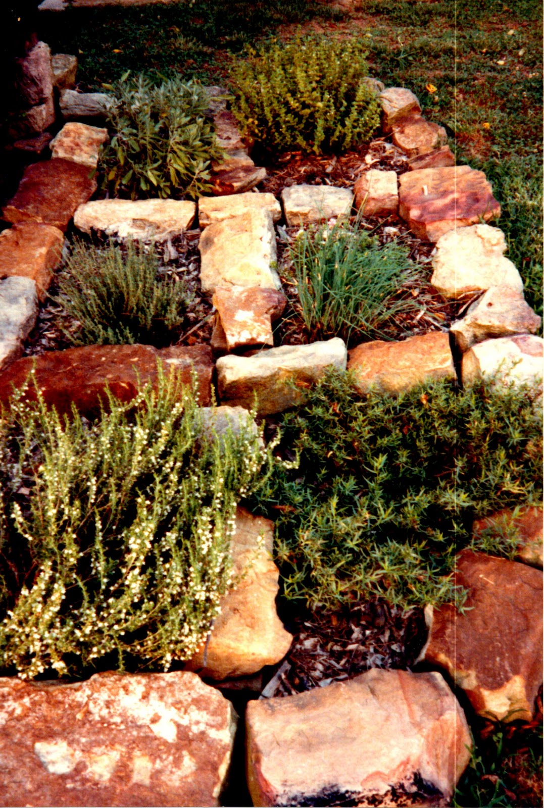 Apron Strings and Favorite Things Herb Gardening in Kentucky