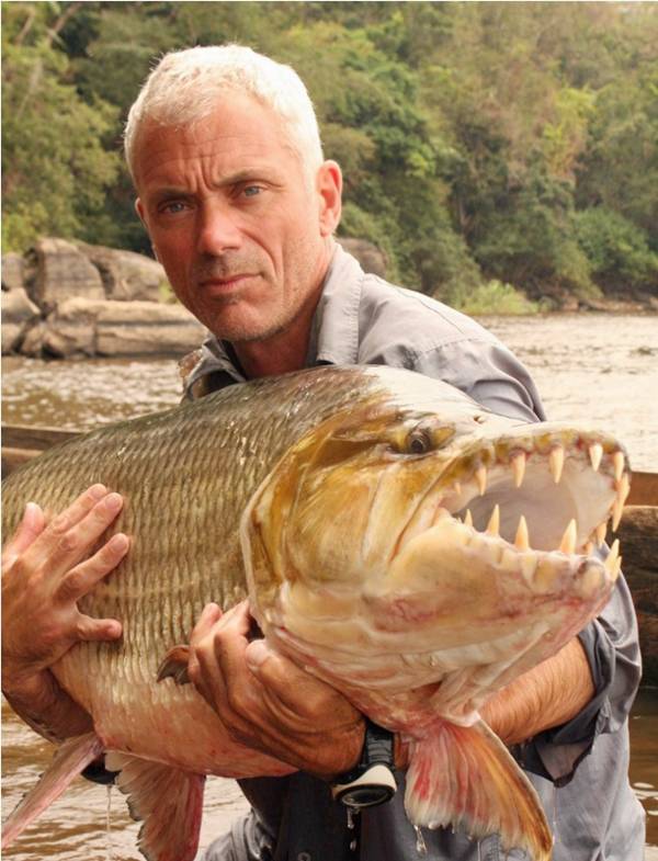 Goliath .. Sang Ikan Monster Dari Afrika [ www.BlogApaAja.com ]