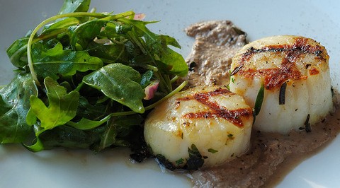 Grilled Scallops with Walnut and Fennel Sauce