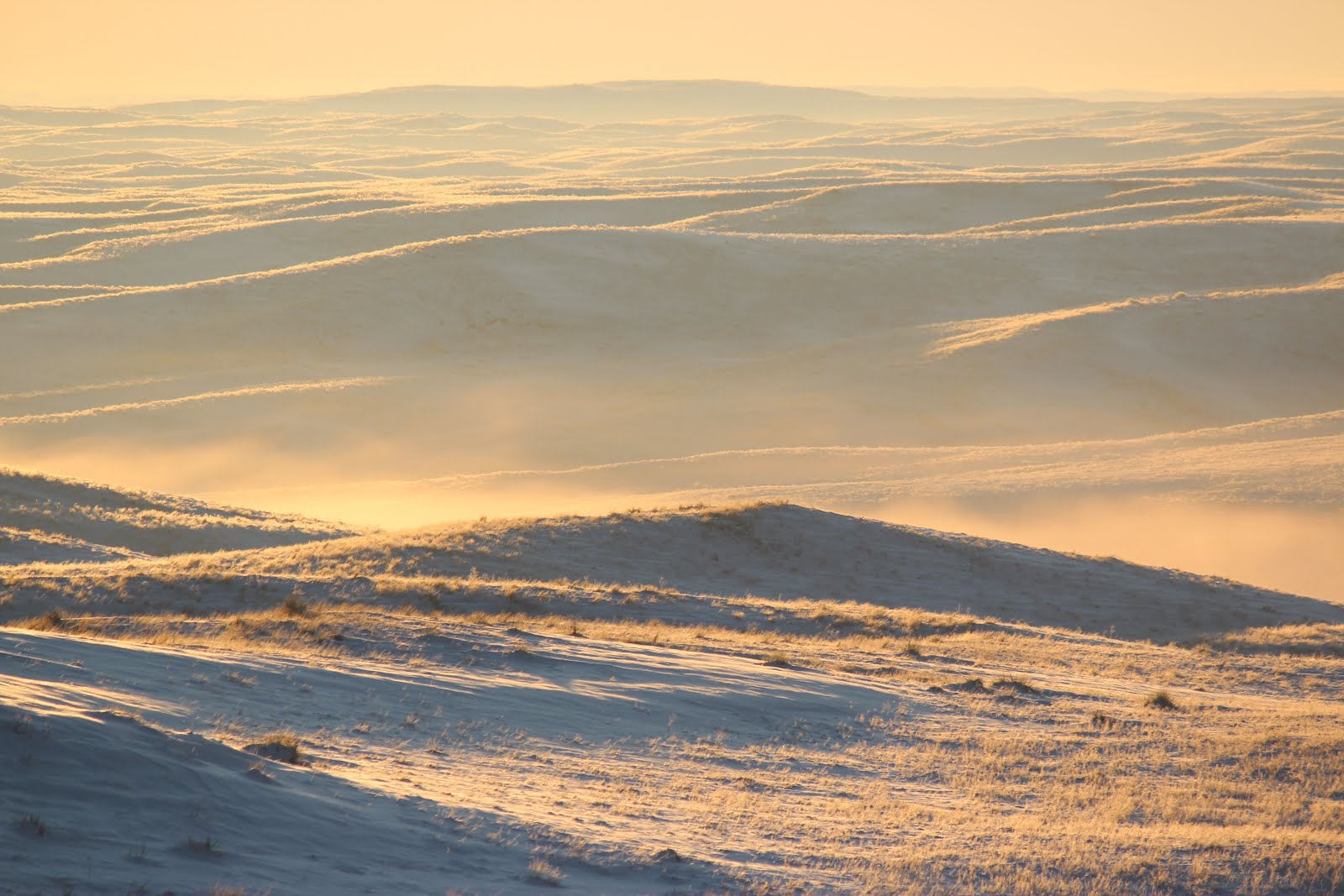 Sandhills Morning
