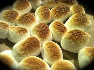 Toasted Marshmallows.  Whoever came up with the idea of toasting these puppies deserves a holiday named after them!