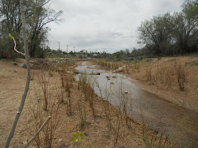 Santa Fe River Trail