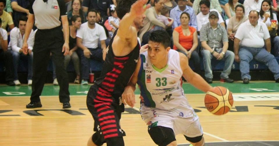 Deporte Veracruzano: Halcones de Veracruz barrieron el Nido, Xalapa por