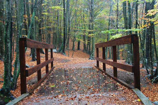 ENTRADA A LA NATURA