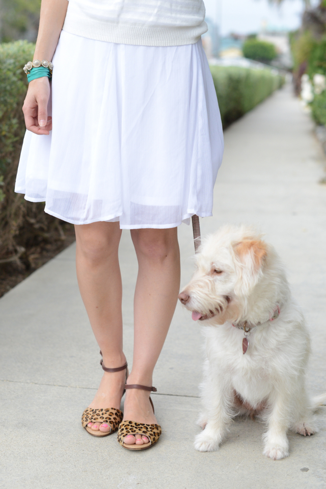 leopard flats and Ginger the poodle mix, M Loves M