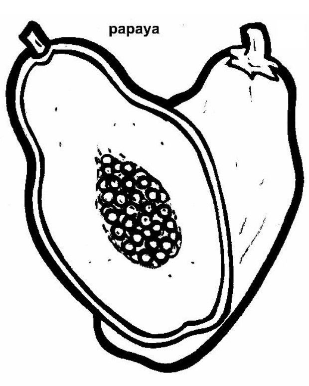 Free Papayas Coloring Pages Learn To Coloring