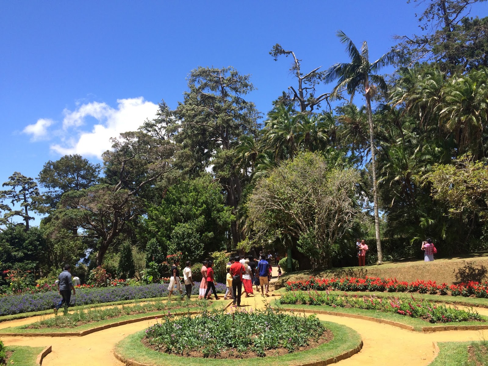 Latest job openings in Middle East Hakgala Botanical Garden in Sri Lanka