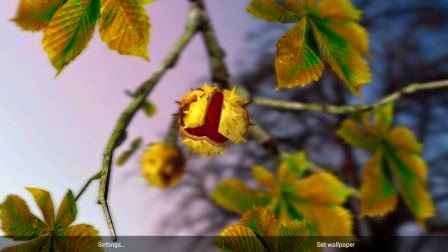 Autumn Leaves HD di Gyro 3D Parallax Autumn Leaves HD di Gyro 3D Parallax