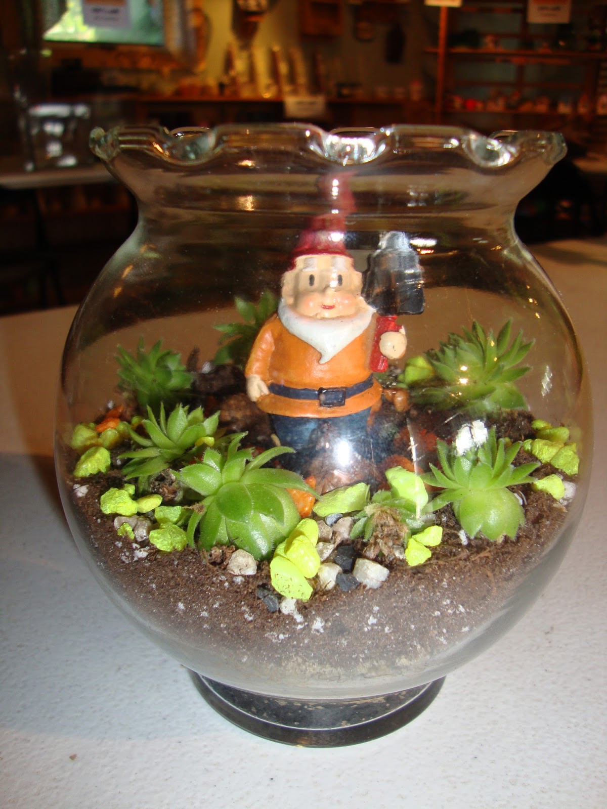 BRENDENS Garden Center: Miniature Terrarium Gardens
