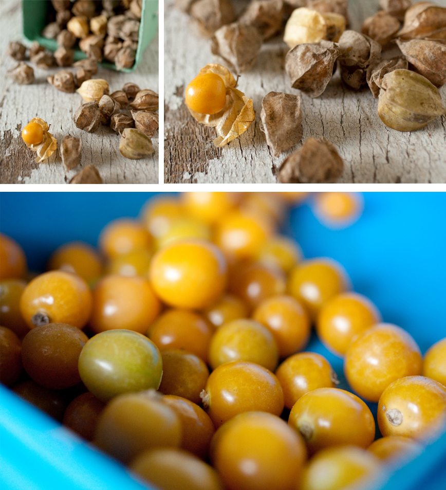 Freshly Baked by Photo Kitchen Mini Ground Cherry Pies Food Stylist