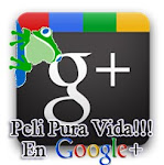 Google+