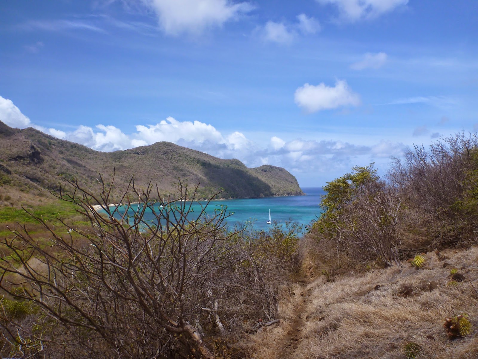 Temptress at anchor, Chatham Bay, Union Island SVG