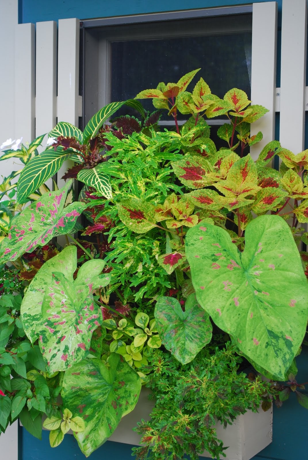rencontre de jardin gassin