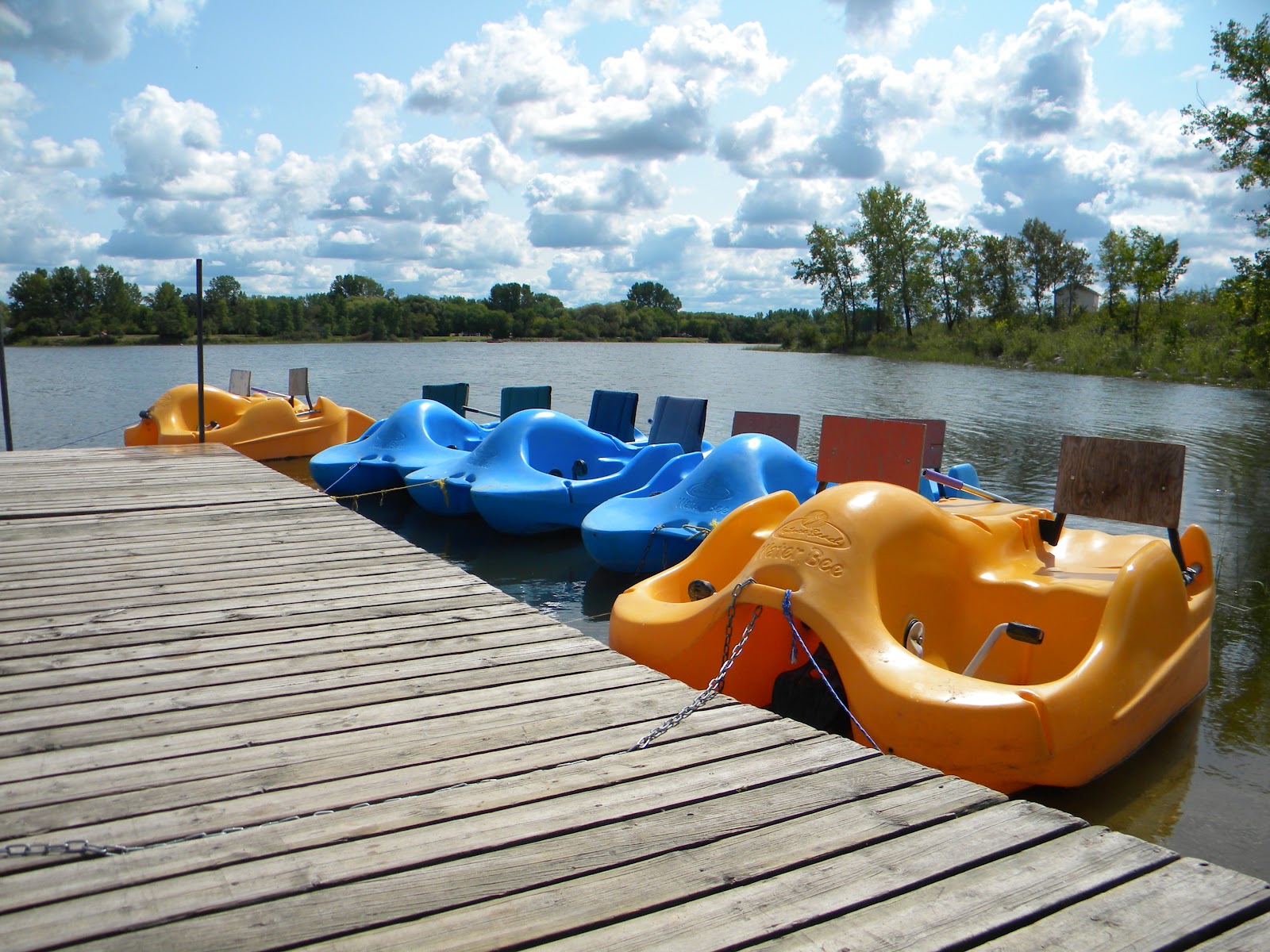 A New Thing Pedal Boats