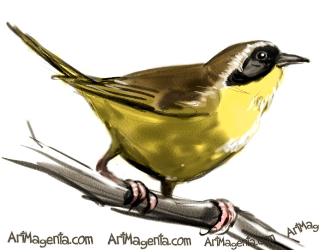 Common Yellowthroat is a bird sketch by illustrator Artmagenta