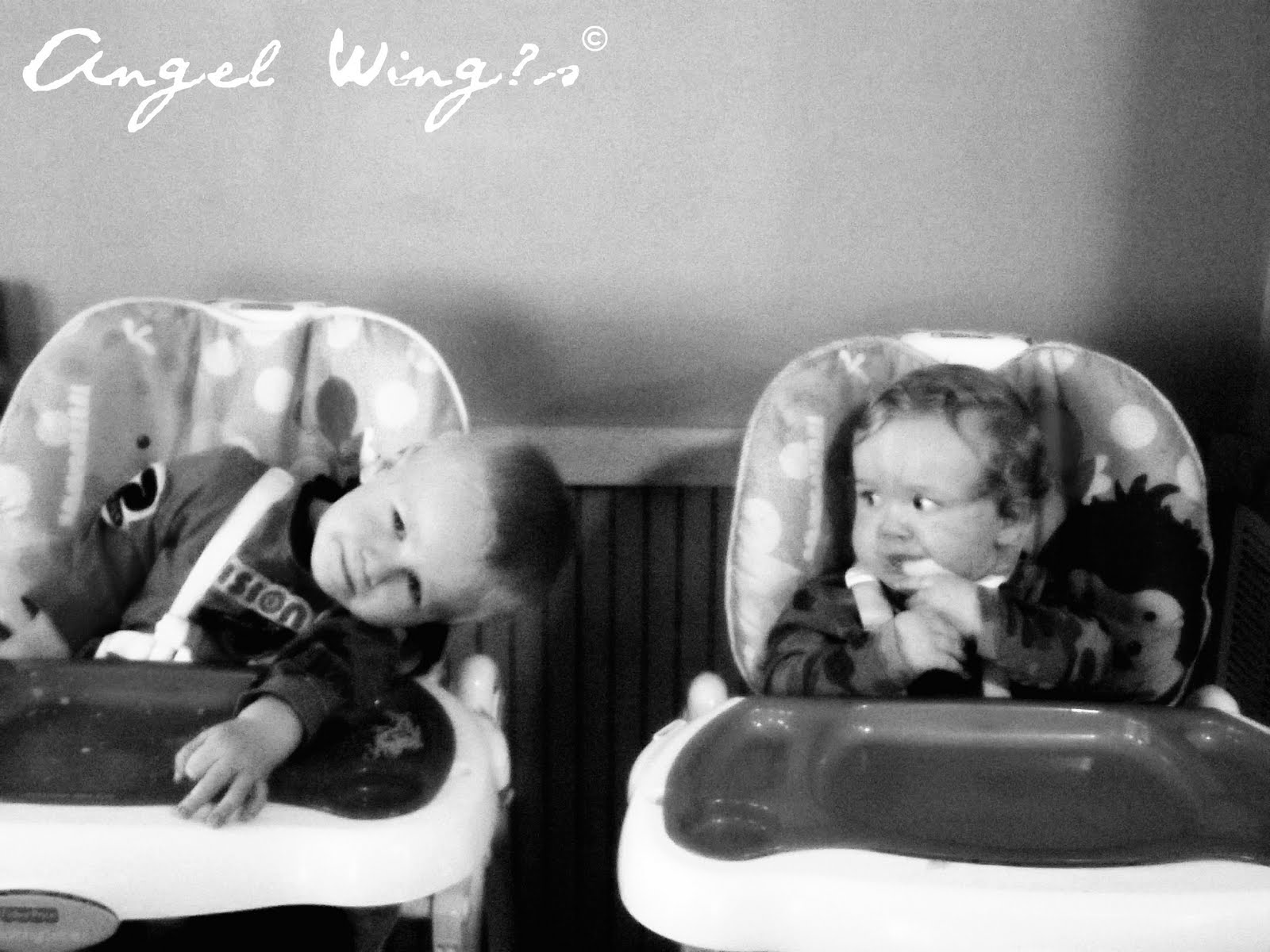 K.S. - Angels Wings Photography