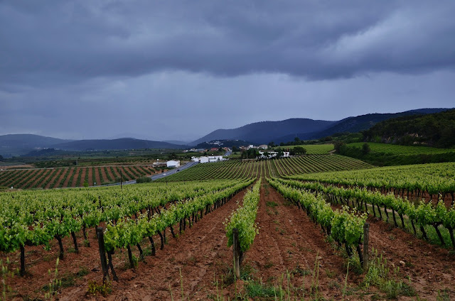 LA GRANADA ALT PENEDES la granada alt penedes: