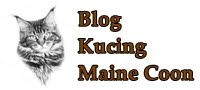 Blog Kucing Maine Coon