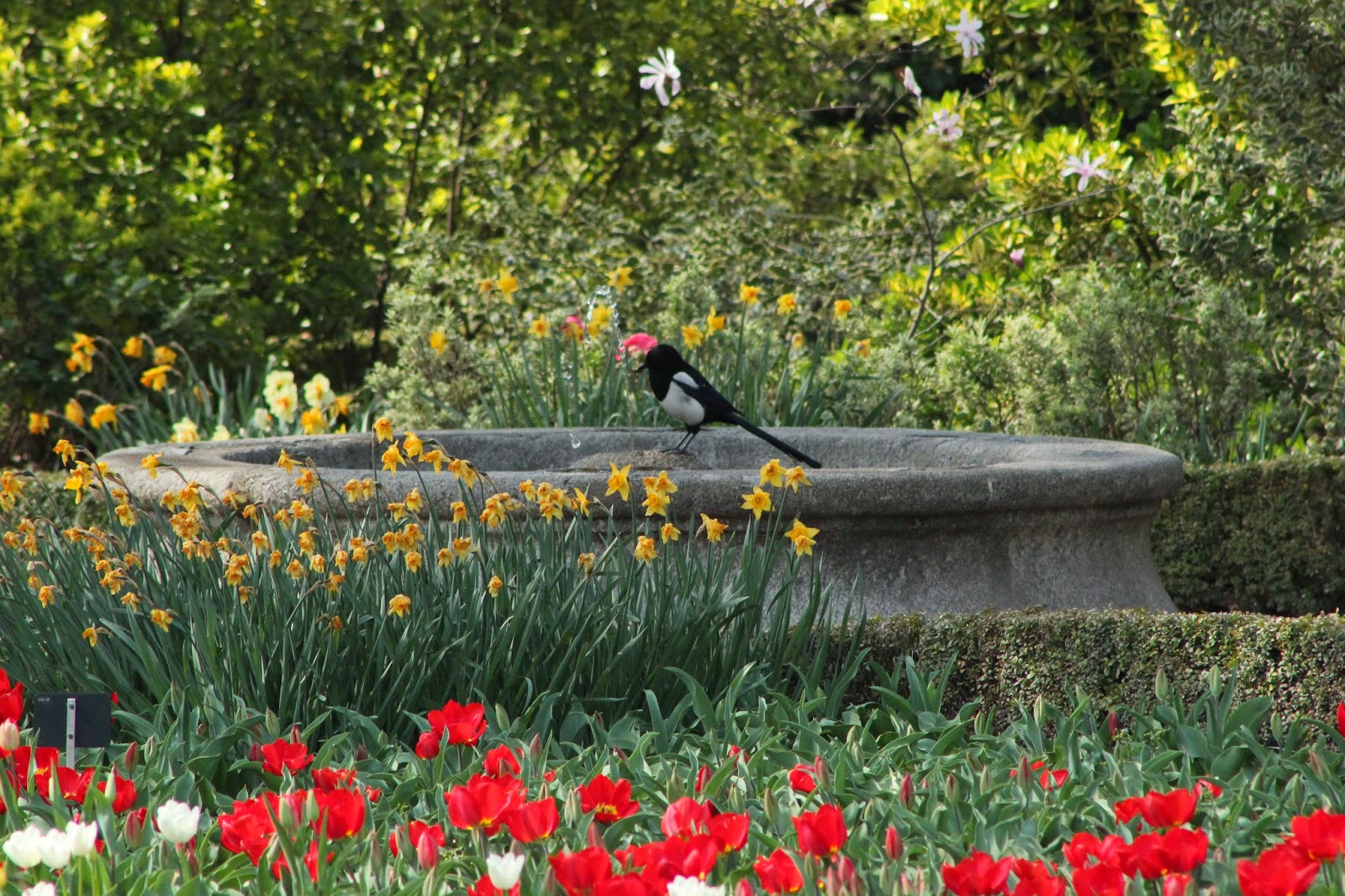 Arreglos de flores, fotos de ramos – Flores y Jardines