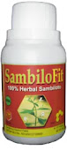 Herbal Sambiloto