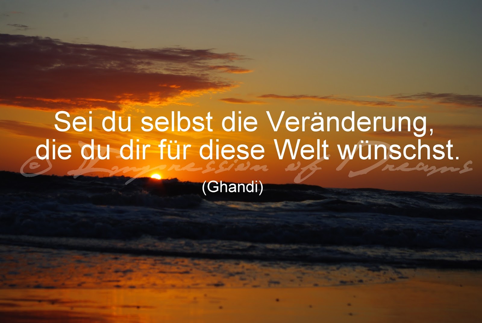 Lucciola Spruch des Tages 07.11.14