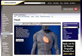 http://interactivehuman.blogspot.com.es/2008/10/heart-heart-information-cardiovascular.html