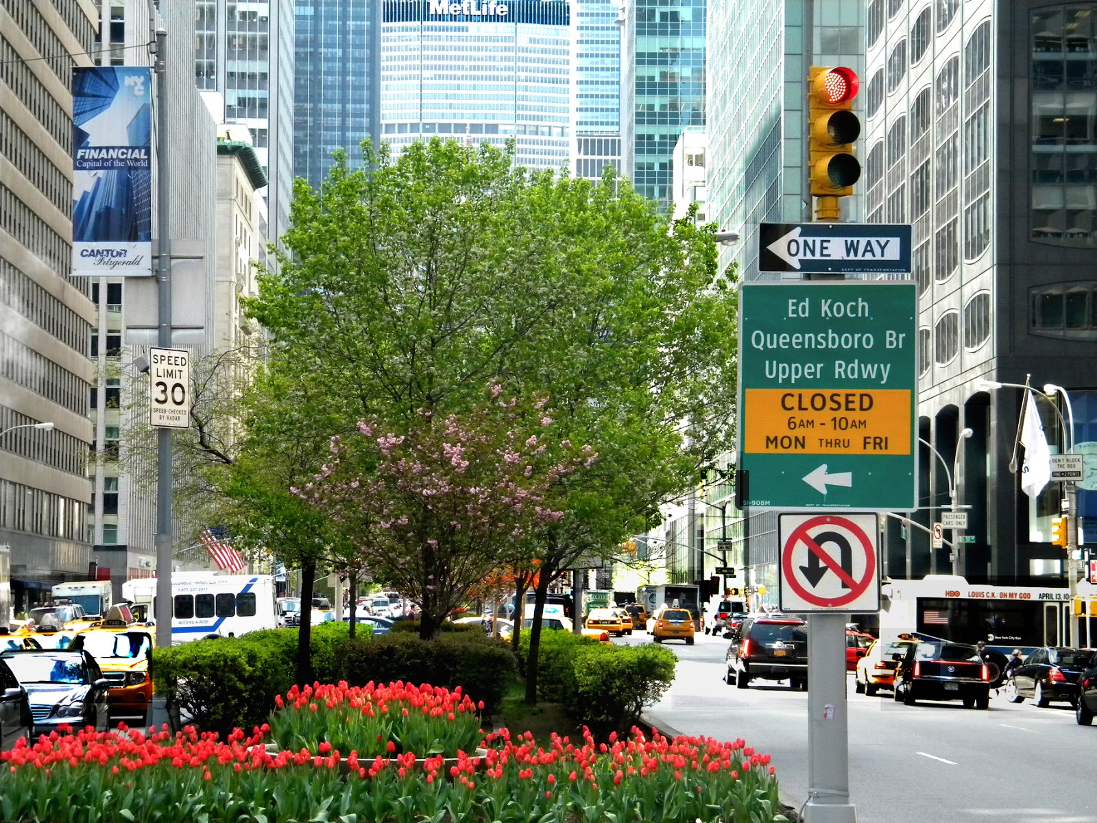 Spring flowers on Park Avenue New York City Public Domain Clip Art