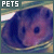 I like pets