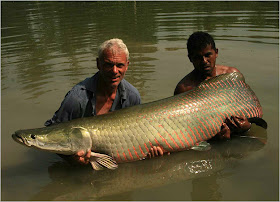 9 Monster Sungai Yang Masih Ada Hingga Saat Ini piracucu%2Bsituslakalaka 9 Monster Sungai Yang Masih Ada Hingga Saat Ini