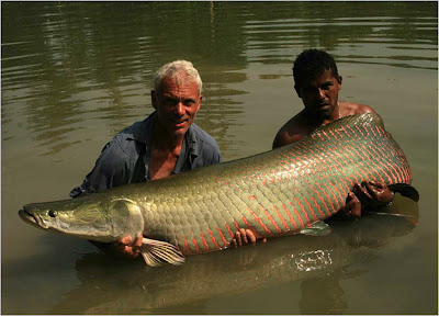 9 Monster Sungai Incara Pemancing Dunia [ www.BlogApaAja.com ]