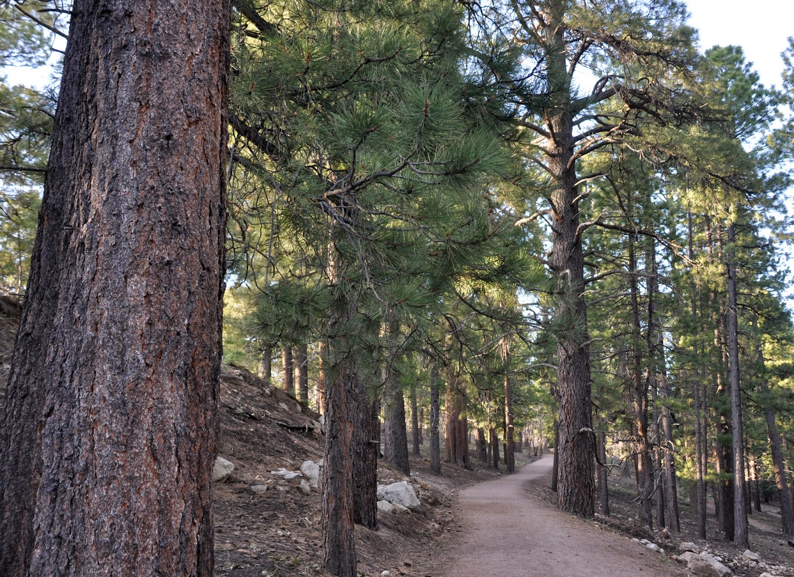 Day Hiking Trails Dogs allowed on some Grand Canyon trails