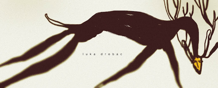 Luka Drobac