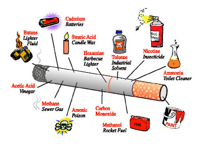 History and Health Effects of Smoking {Tobacco}