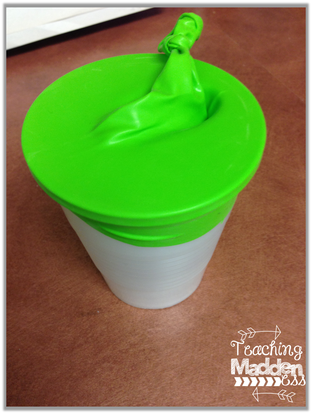 Marshmallow Shooters {Force & Motion} & a Freebie Owlways Be Inspired