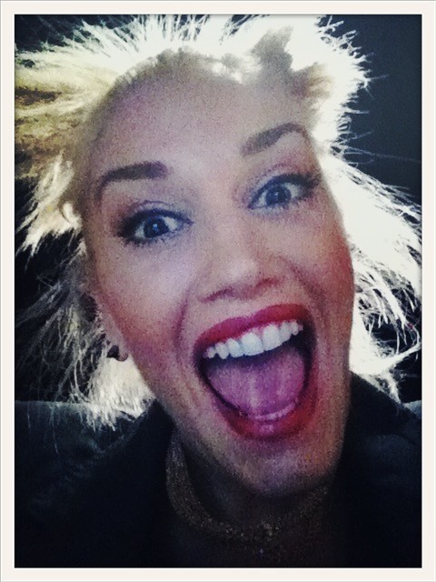Chatter Busy: Gwen Ste... Gwen Stefani Twitter
