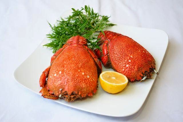 cua huỳnh đế