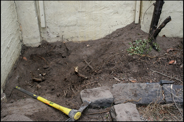 Just this side of chaos...: Digging up the yard