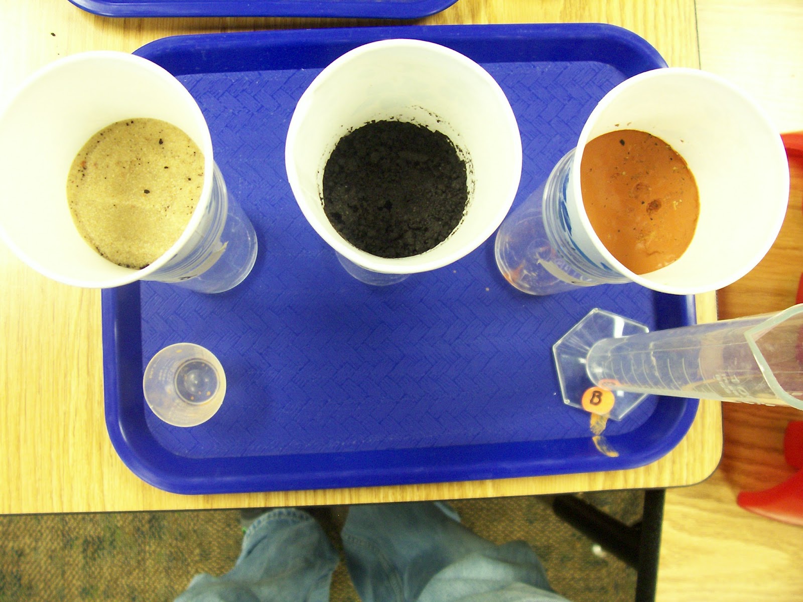 Wilson's Second Grade Scribes Which soil absorbs water the best?